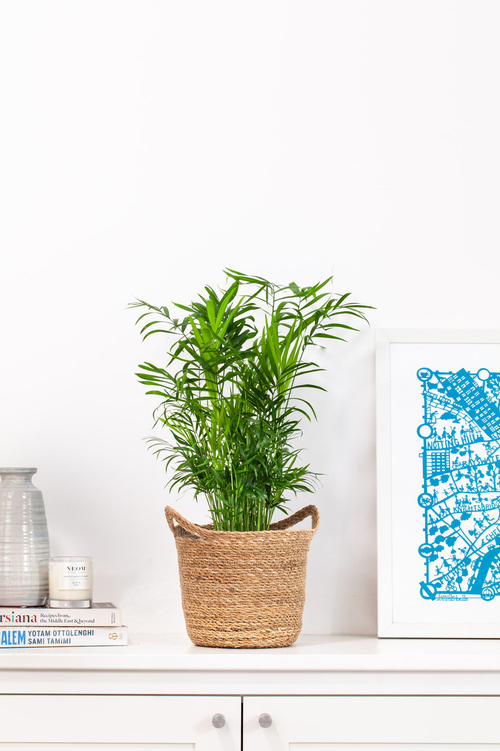 files/IndoorPlants-JamieShots16.11.2023-076.jpg